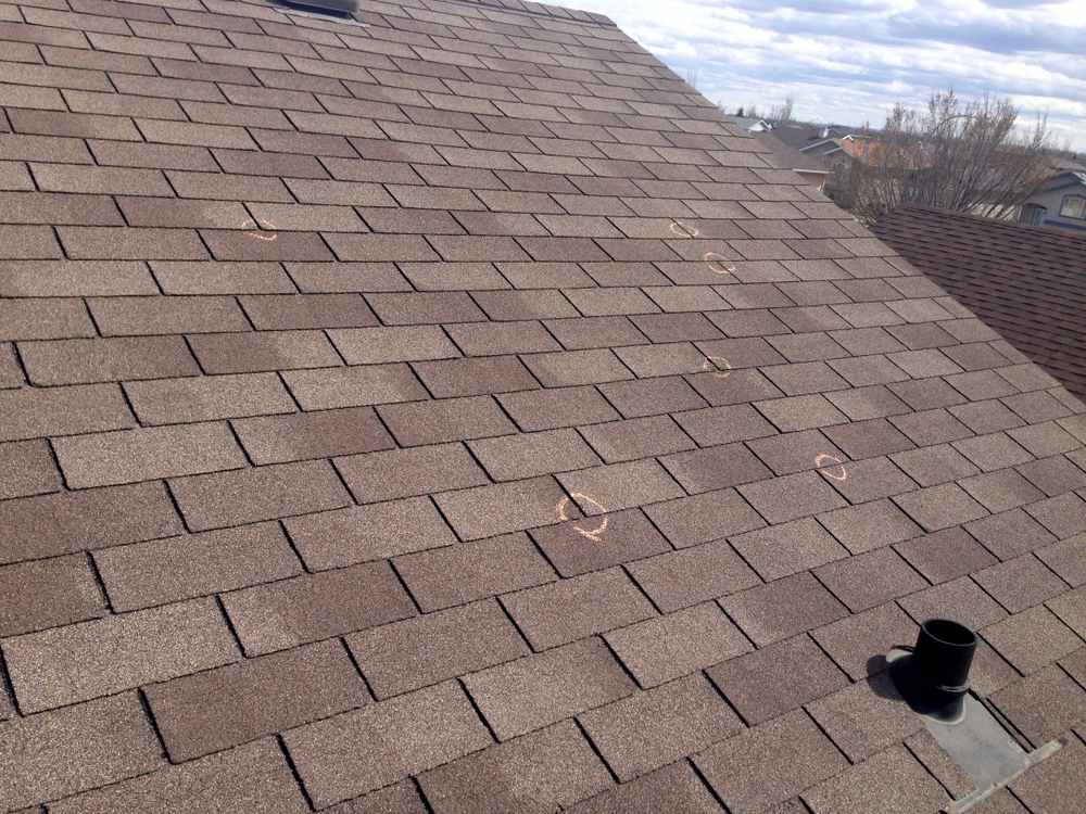 Hail bruise on asphalt shingle with soft indentation.
